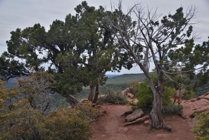 The view at the end of the Timber Creek Overview